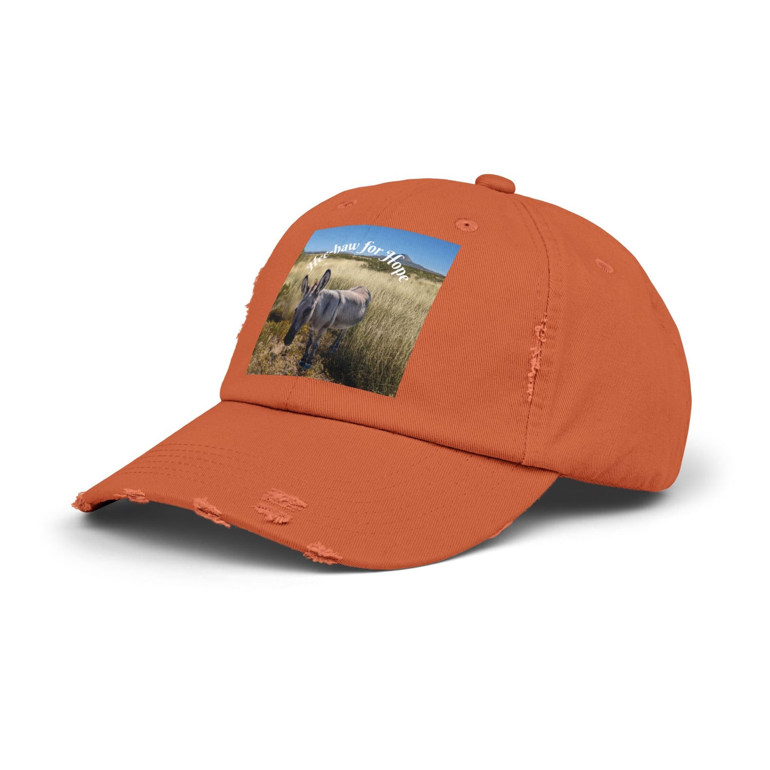 Donkey Hat