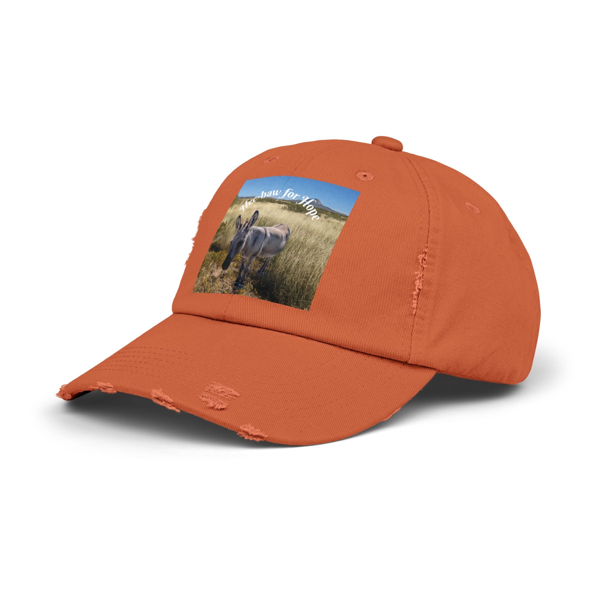 Donkey Hat