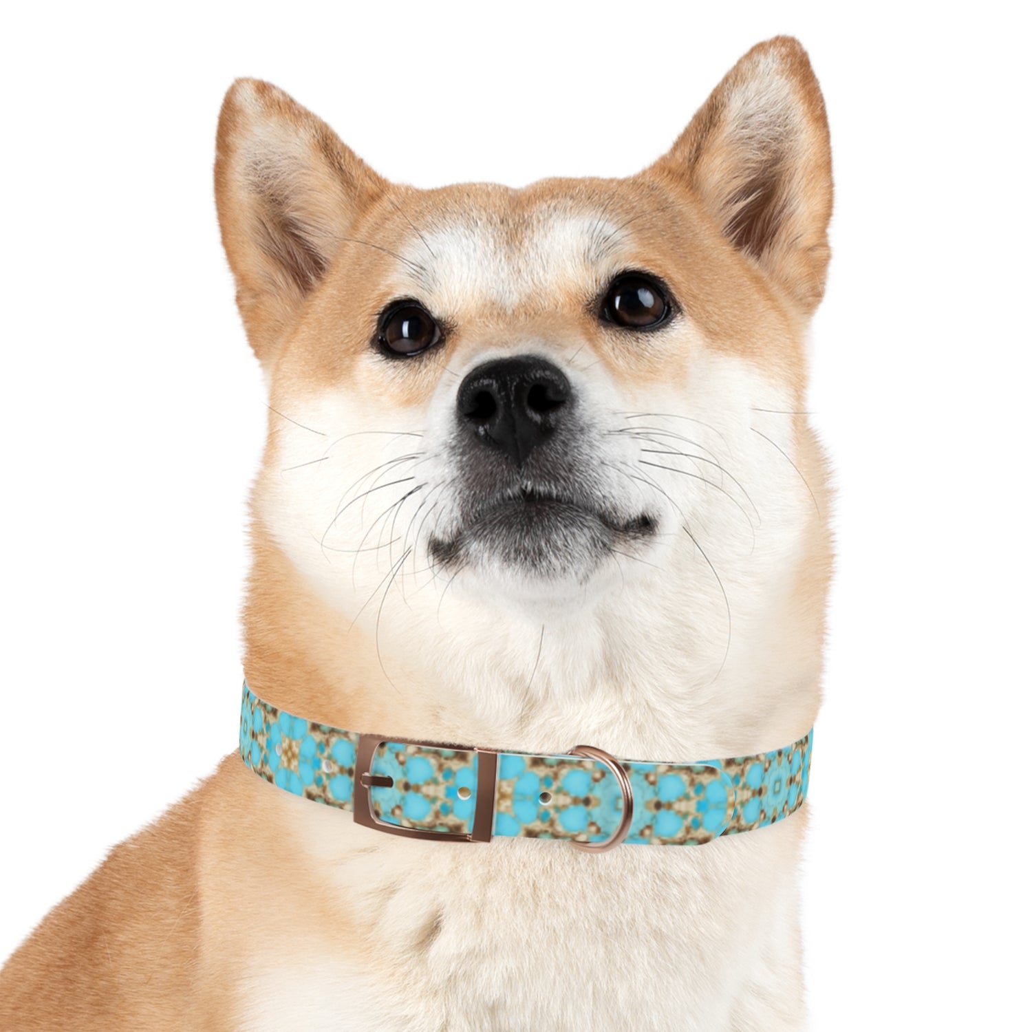 Yareli Dog Collar