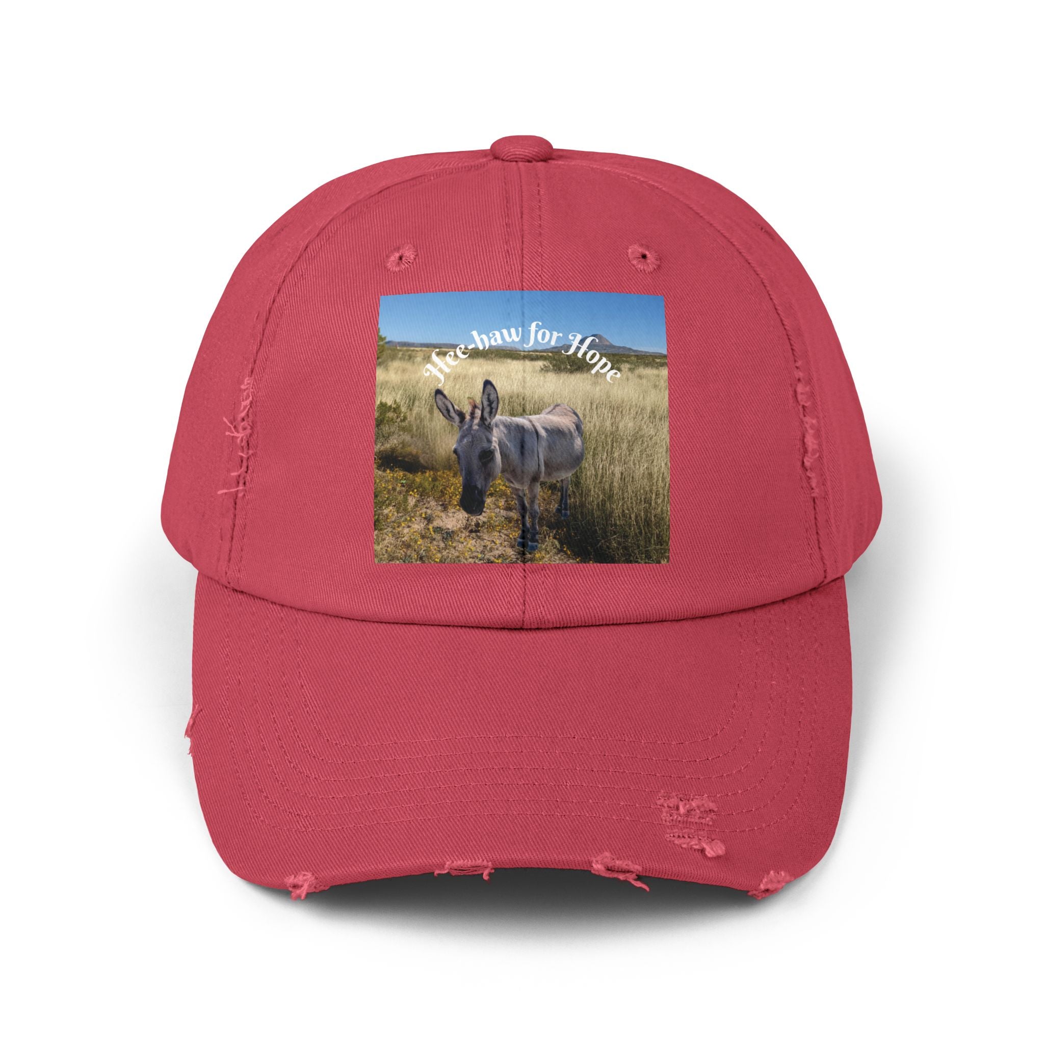 Donkey Hat