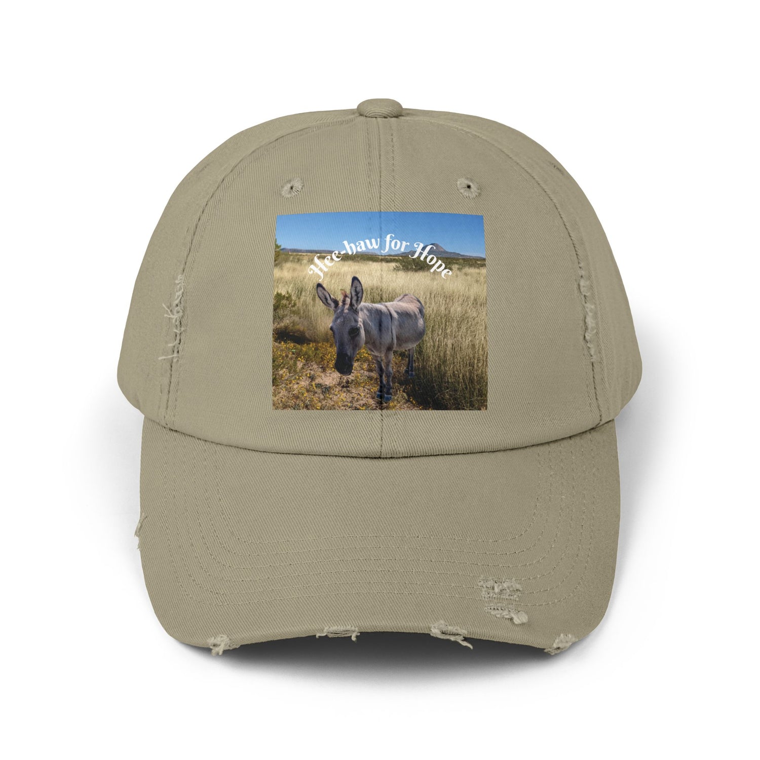Donkey Hat