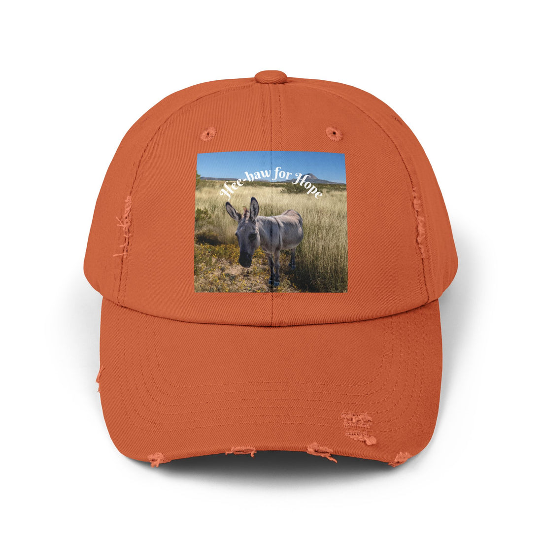 Donkey Hat