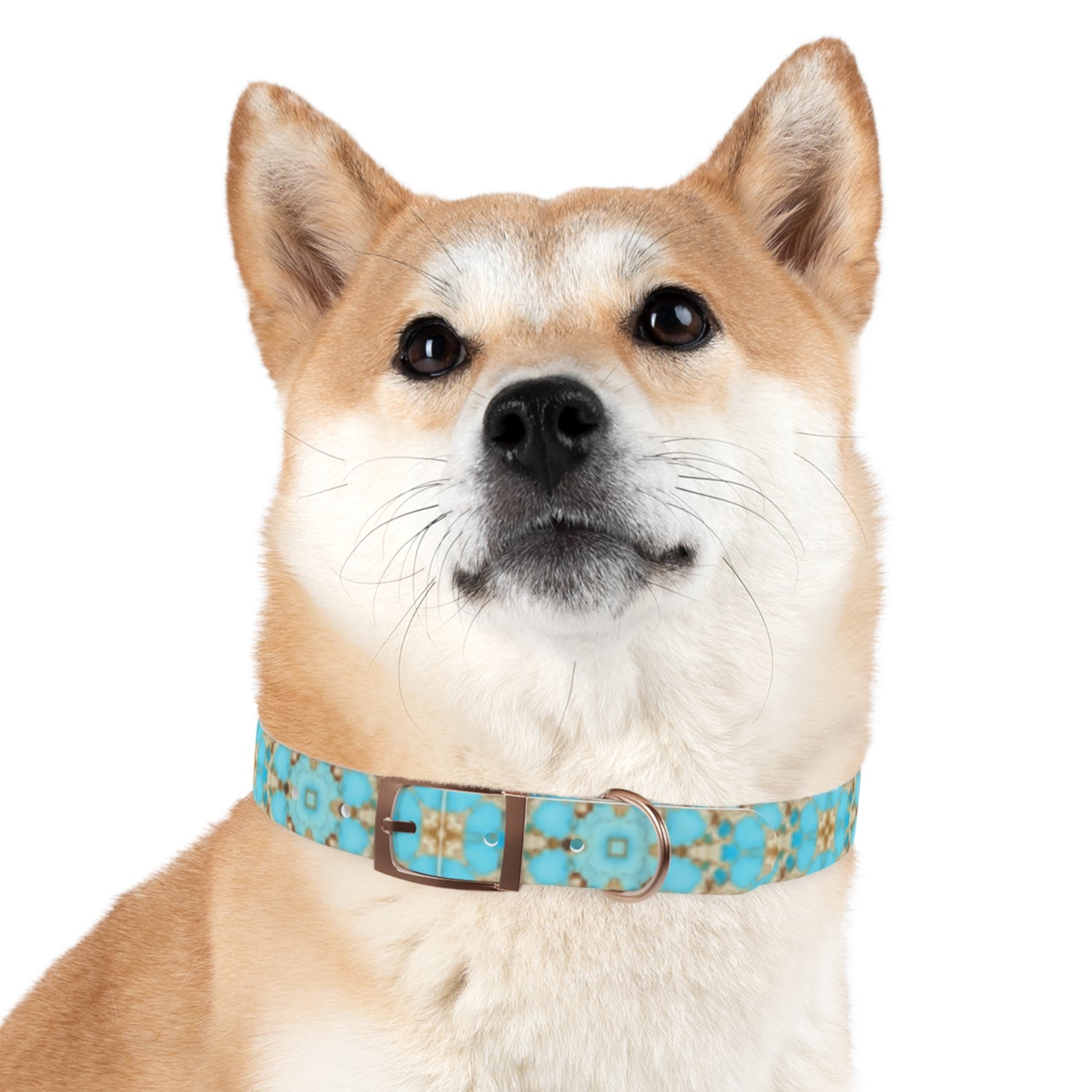 Yareli Dog Collar