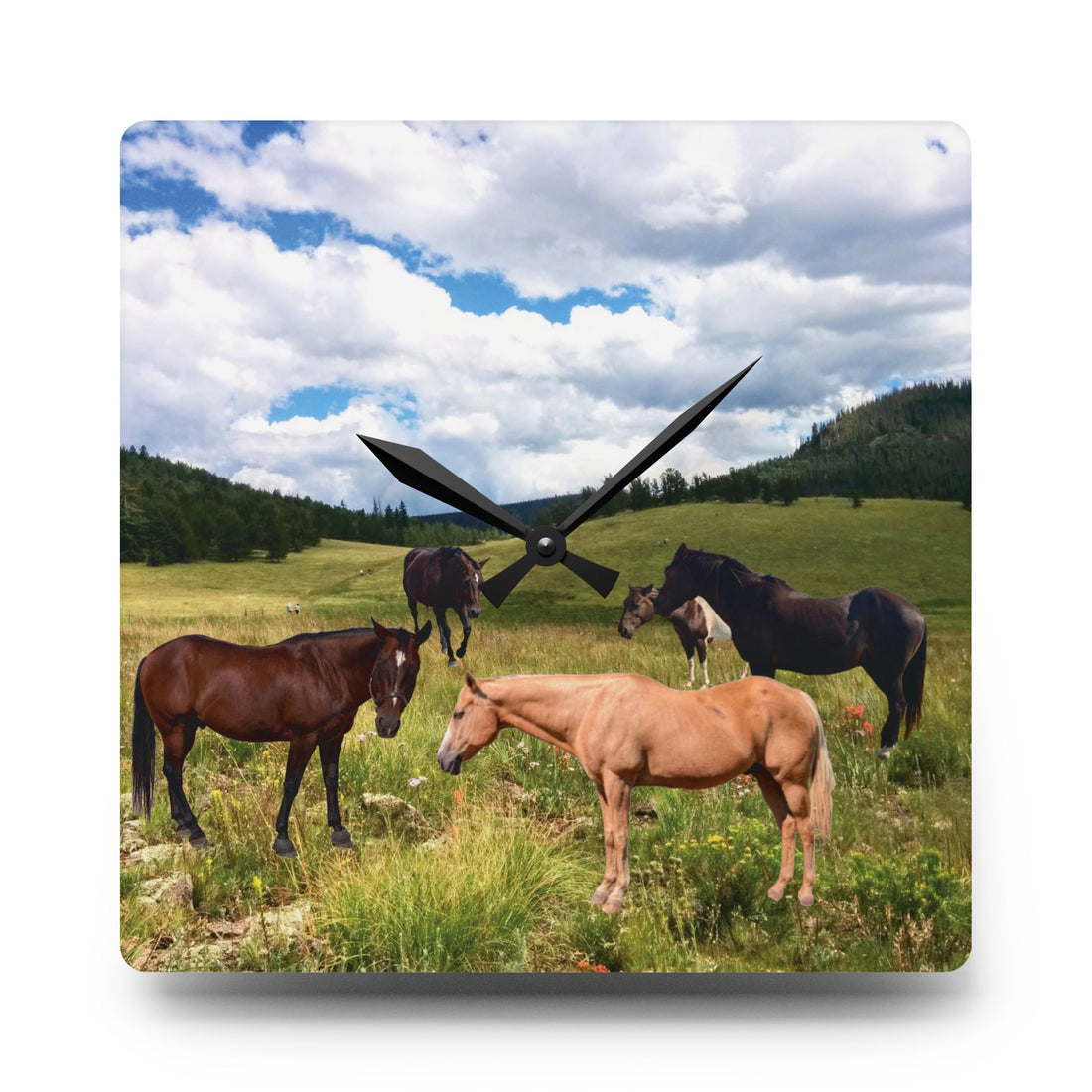 Horse Wall Clock