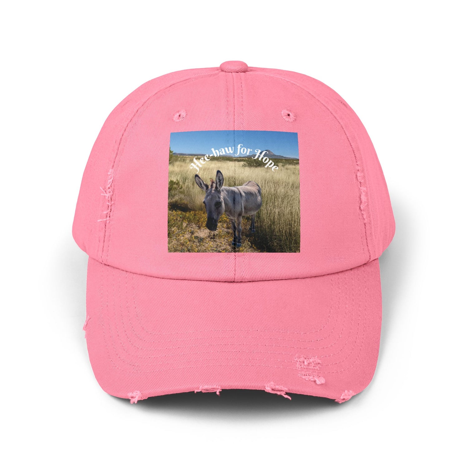 Donkey Hat