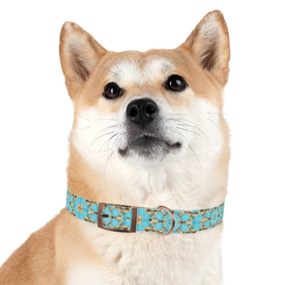 Yareli Dog Collar