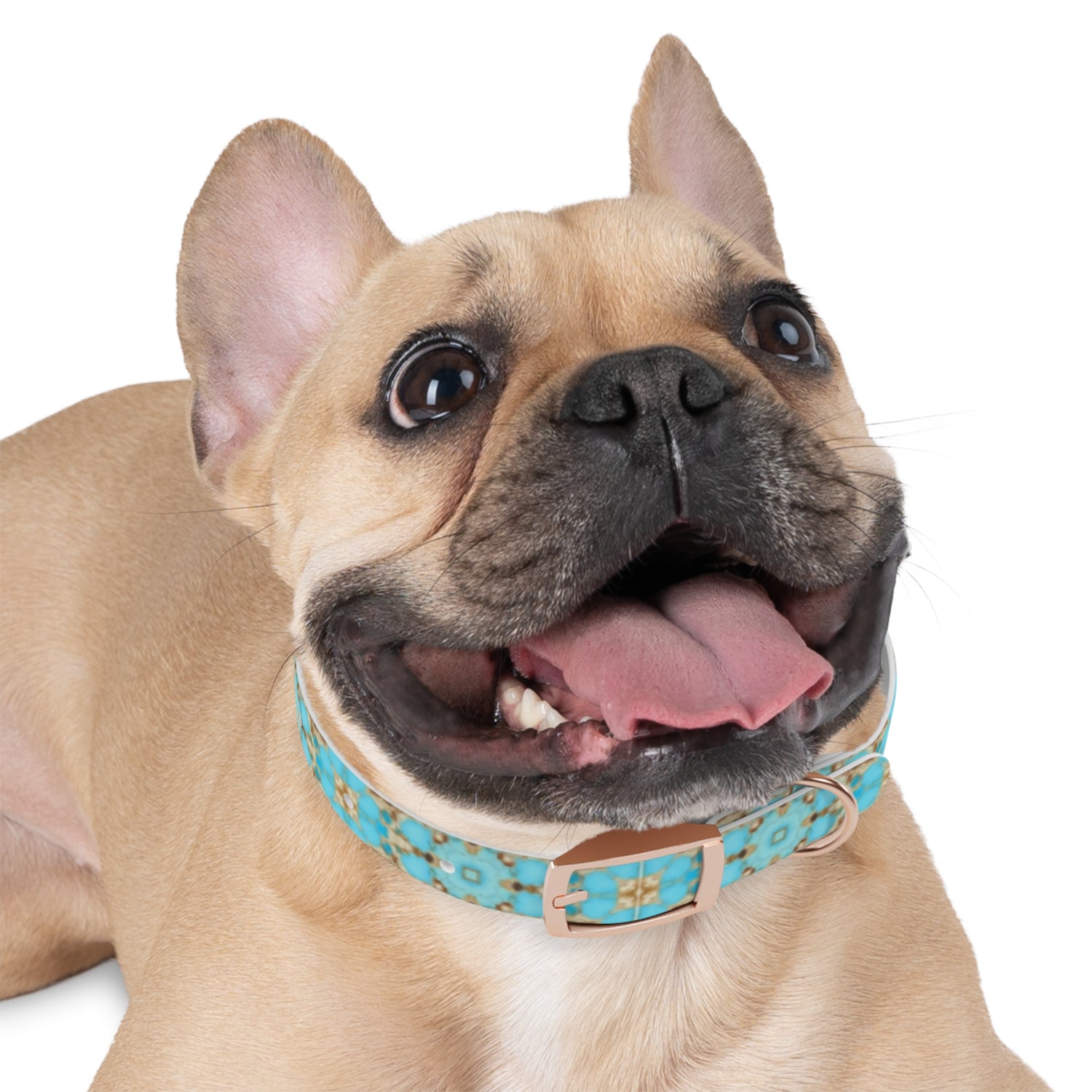 Yareli Dog Collar